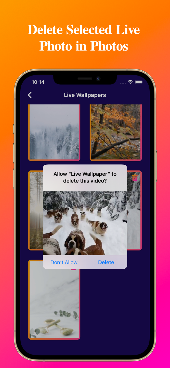Video To Live Wallpapers