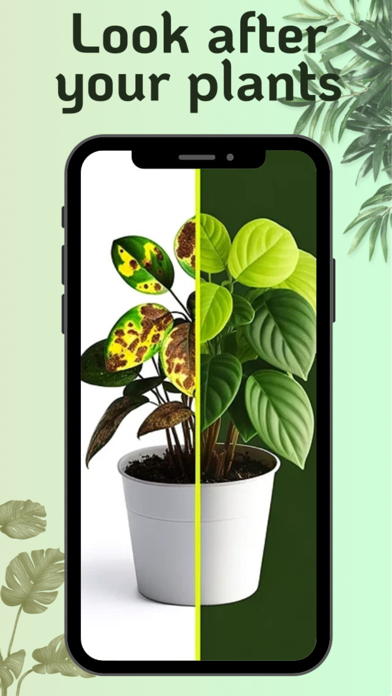 VerdiVista Plant Identifier Screenshot