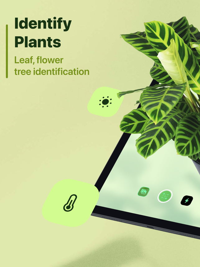 Capture d'écran d'identification des feuilles