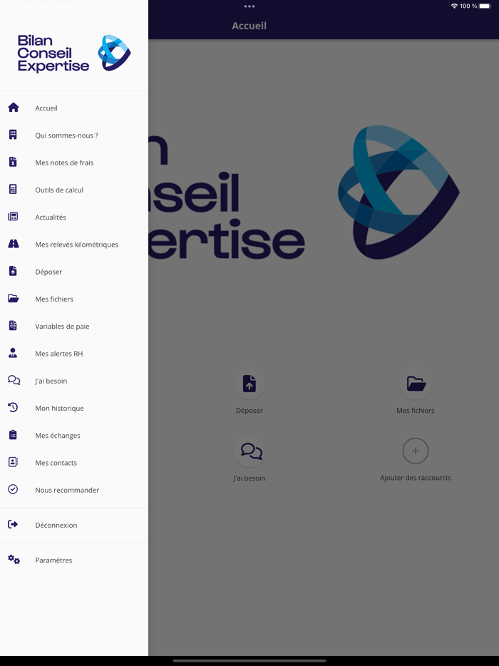 Bilan Conseil Expertise