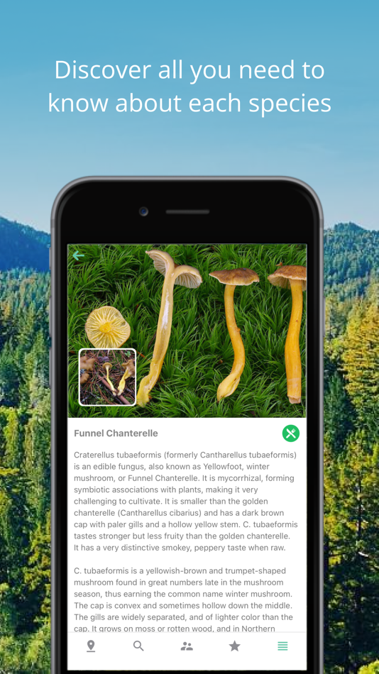 #2. Mushroom Identificator (iOS) 由: AnnapurnApp Technologies UG haftungsbeschrankt