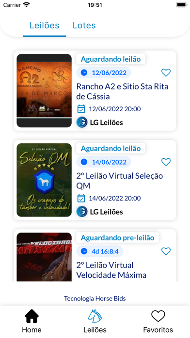 LG Leilões Screenshot