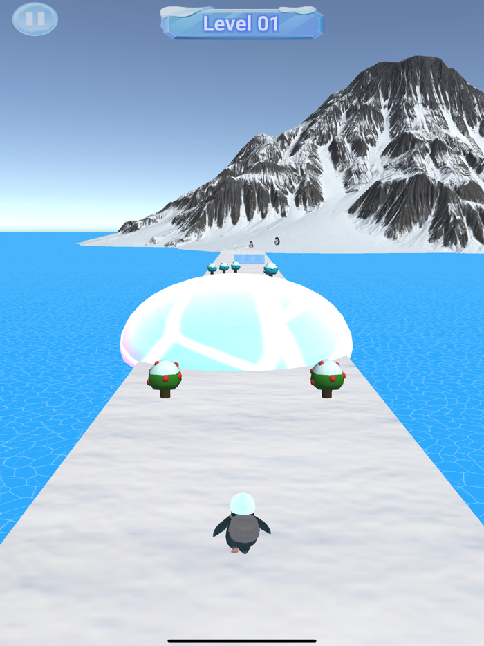 Penguin Adventure Break Travel