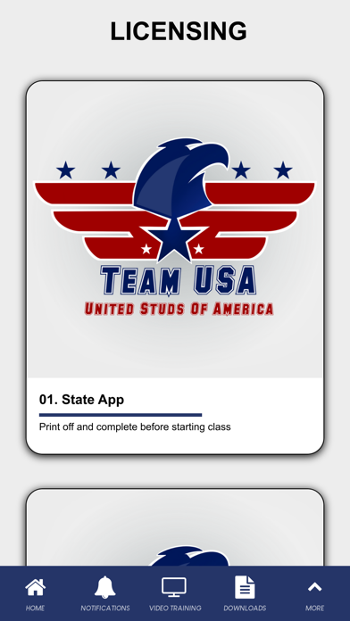 Team USA Screenshot