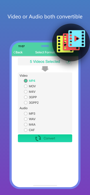 ‎Flash Video Converter Pro Screenshot