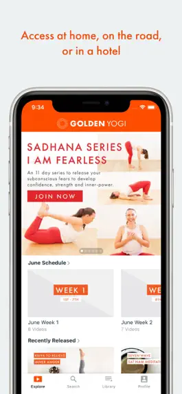 Game screenshot Golden Yogi Online apk