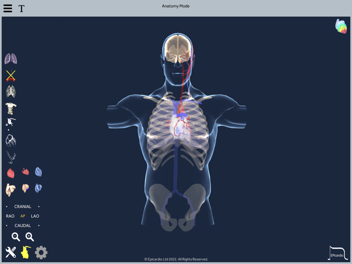 Epicardio Heart Simulator
