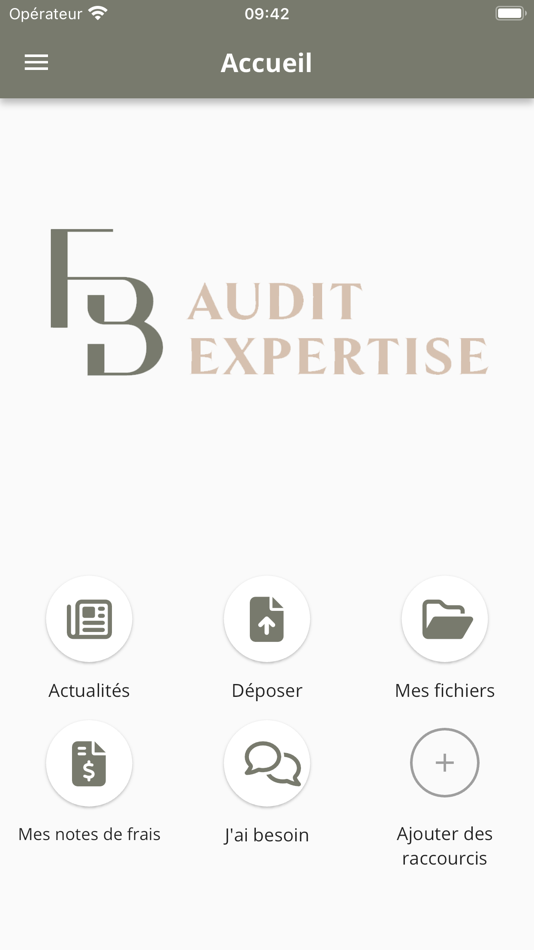 #2. FB AUDIT (iOS) 由: MyCompanyFiles