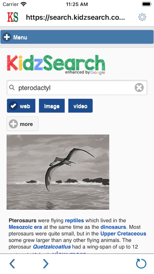 #2. KidzSearch (iOS) 由: Dale Bock