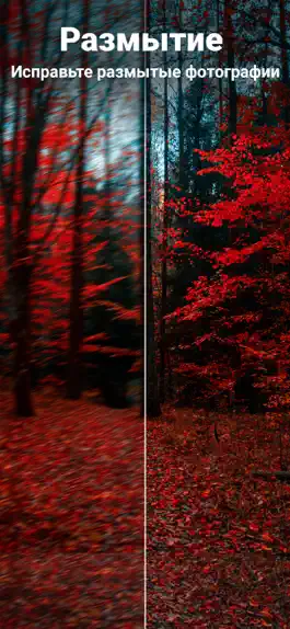 Game screenshot Enhance it - AI Photo Editor apk
