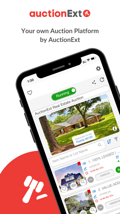 AuctionExt Screenshot