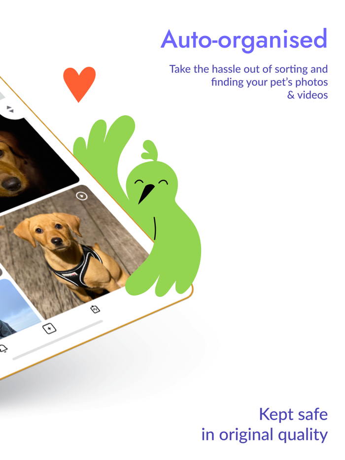 Huply pet photo album and diary
