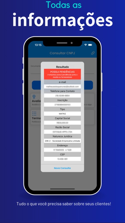 Consulta CNPJ Online