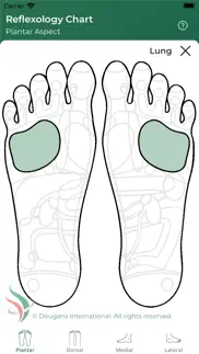 reflexology chart problems & solutions and troubleshooting guide - 3