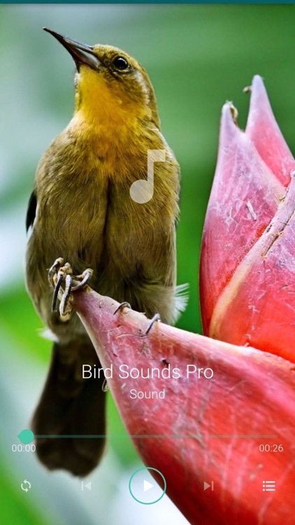 Bird Sounds Pro Plus screenshot-7