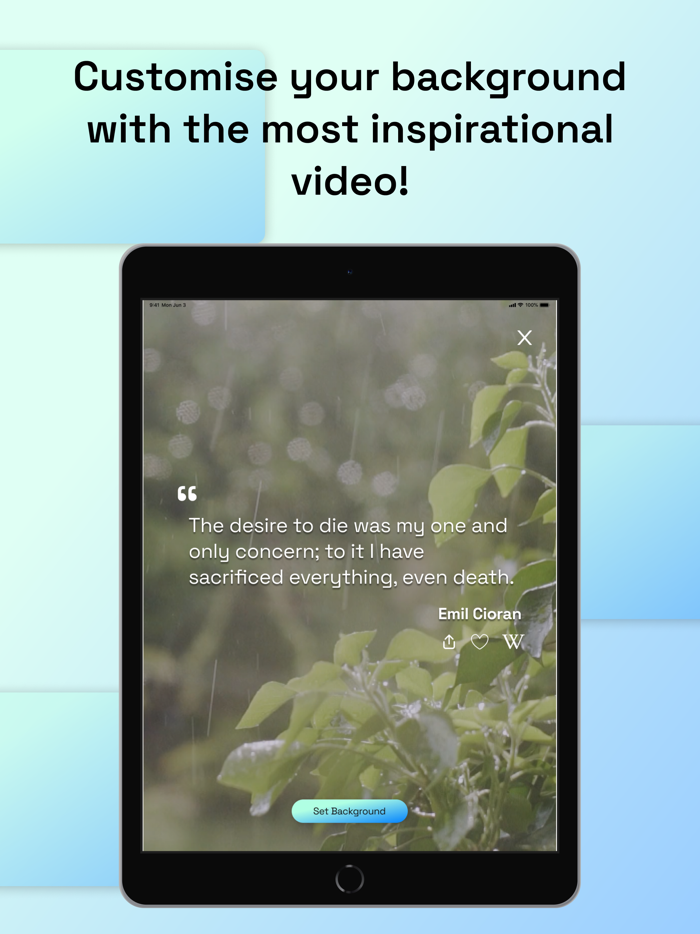 Philosophy Phrases Every Day