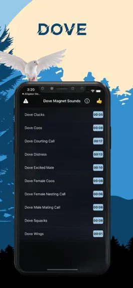 Game screenshot Dove Magnet - Dove Calls mod apk