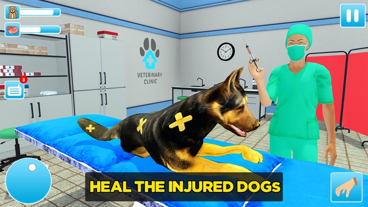 Animal Shelter Dog Rescue Game