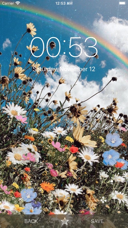 Aesthetic Wallpaper iPhone screenshot-7