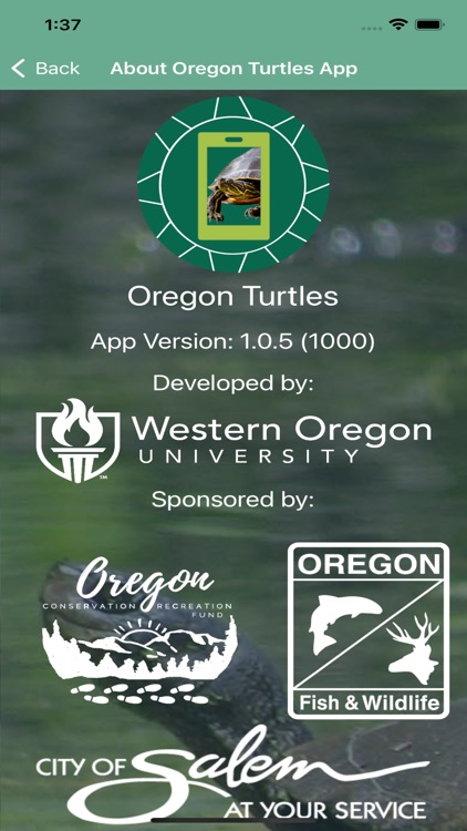 Oregon Turtles screenshot-4