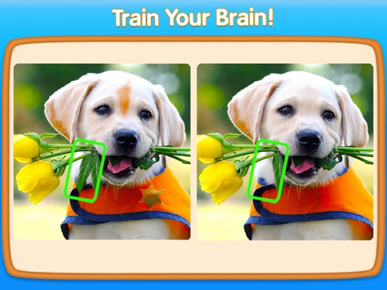 Zoek de Verschillen in Foto iPad app afbeelding 3