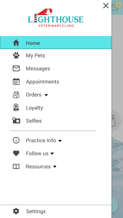 Lighthouse Veterinary Clinic Screenshot