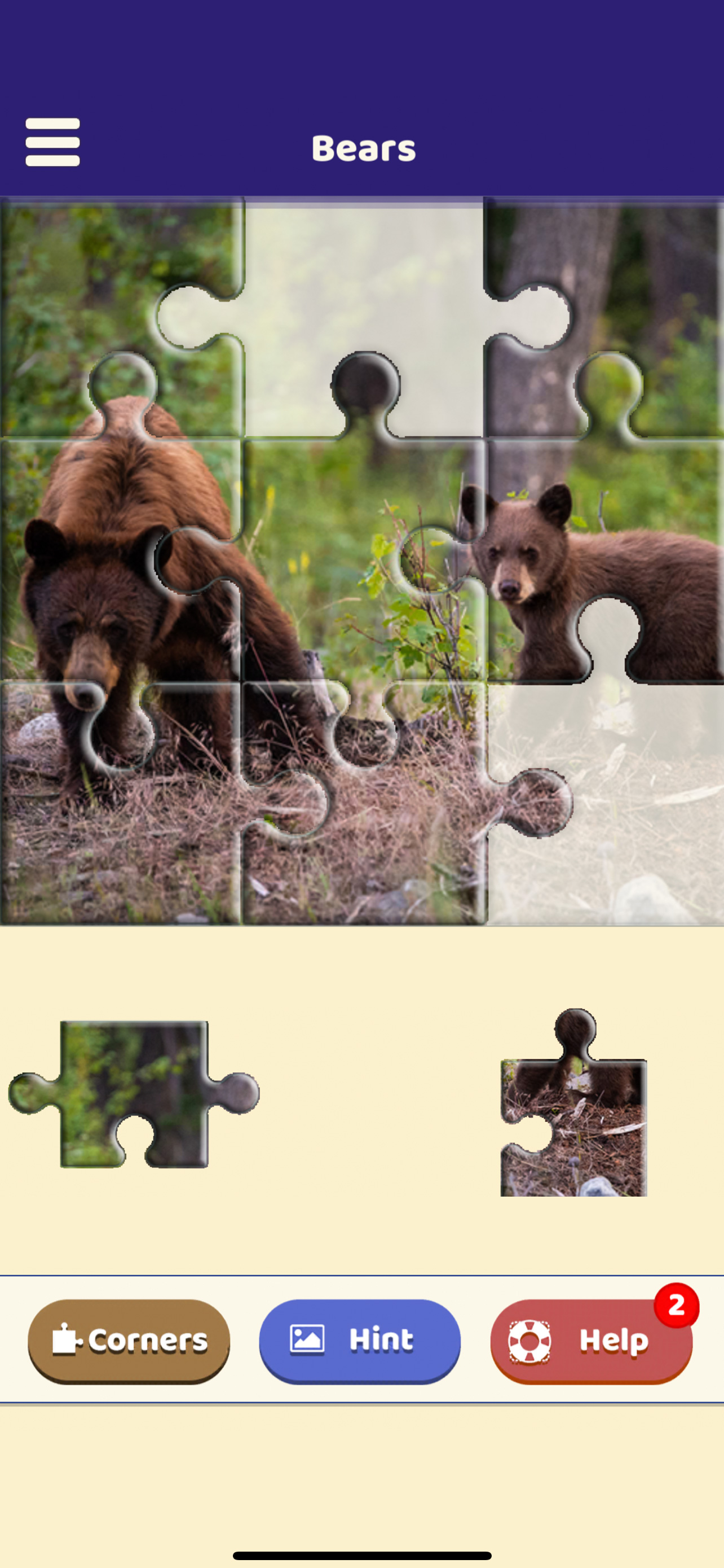 Bear Love Puzzle