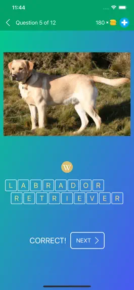 Game screenshot Dog Breeds Quiz: Guess the Pet apk