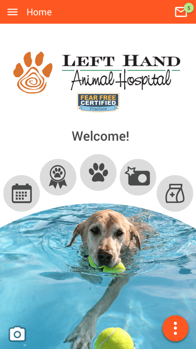Left Hand Animal Hospital Screenshot