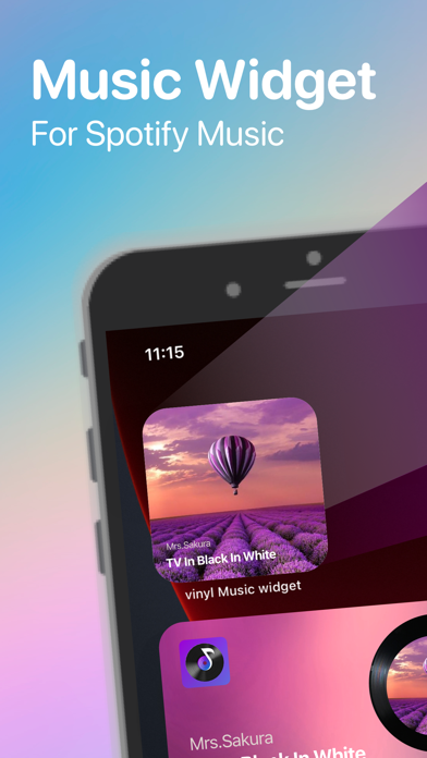 MS Vinyl - Music Widget Screenshot