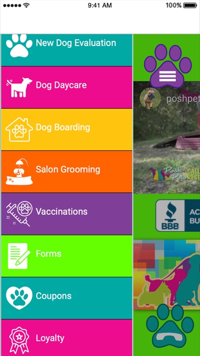 Posh Pets SETX Screenshot