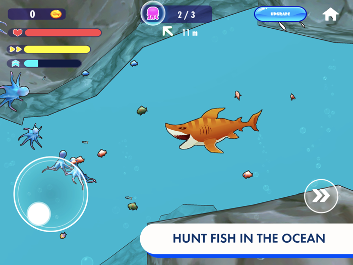 Angry Shark - Hungry World