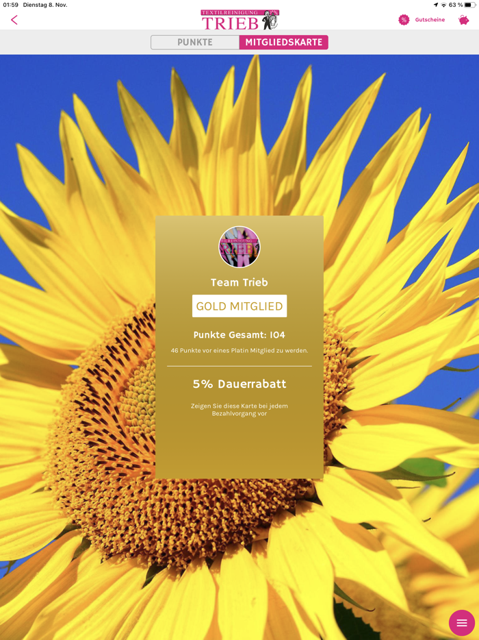 Stuttgart Textilreinigung