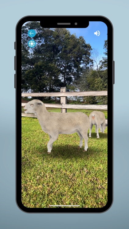 Sheep EAD AR screenshot-3