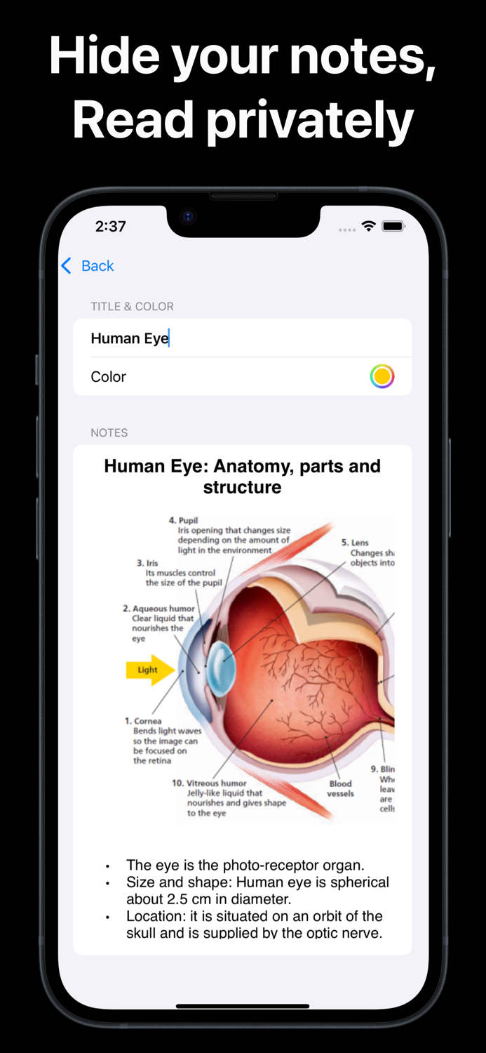 Blink Notes - Rapid Text Cover