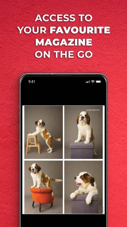 Digital Photographer Monthly