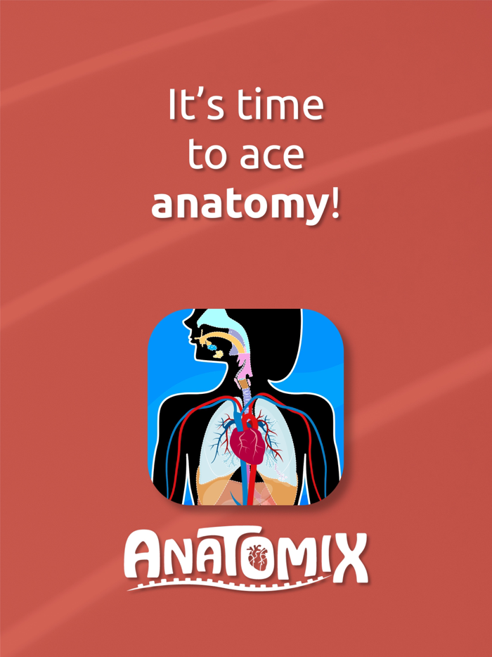 Anatomix - Human Body Game