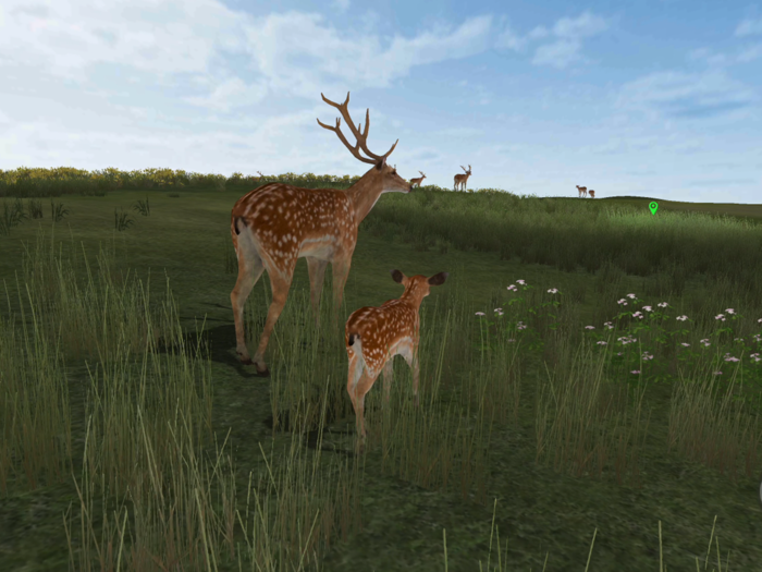Life Of Deer Remastered