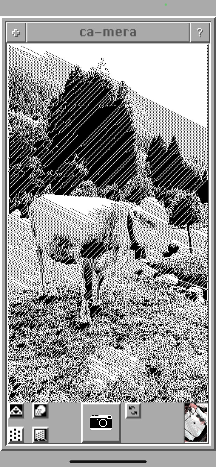 ca-mera