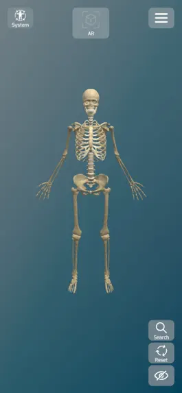 Game screenshot Anatomy AR mod apk