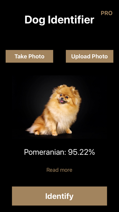 Dog Identifier: Puppy Breed ID Screenshot