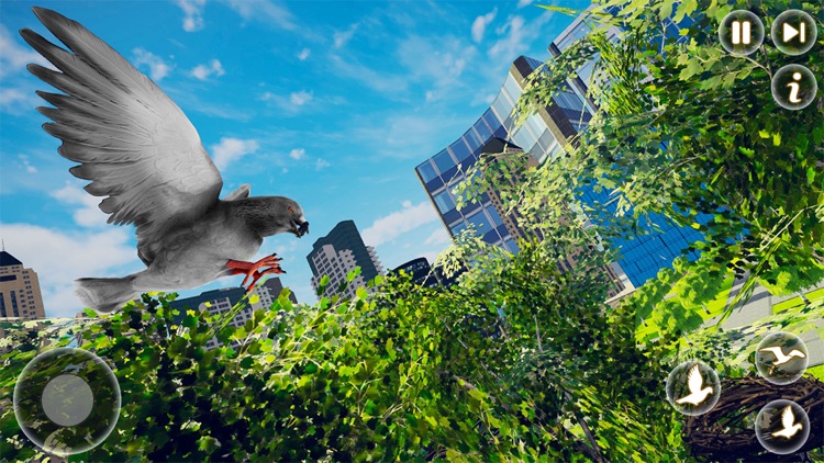 Pigeon Bird Flying Simulator screenshot-4
