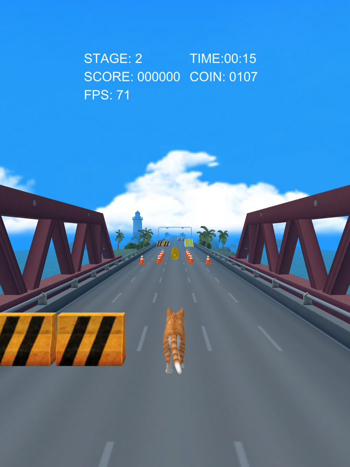 CatRunner2022