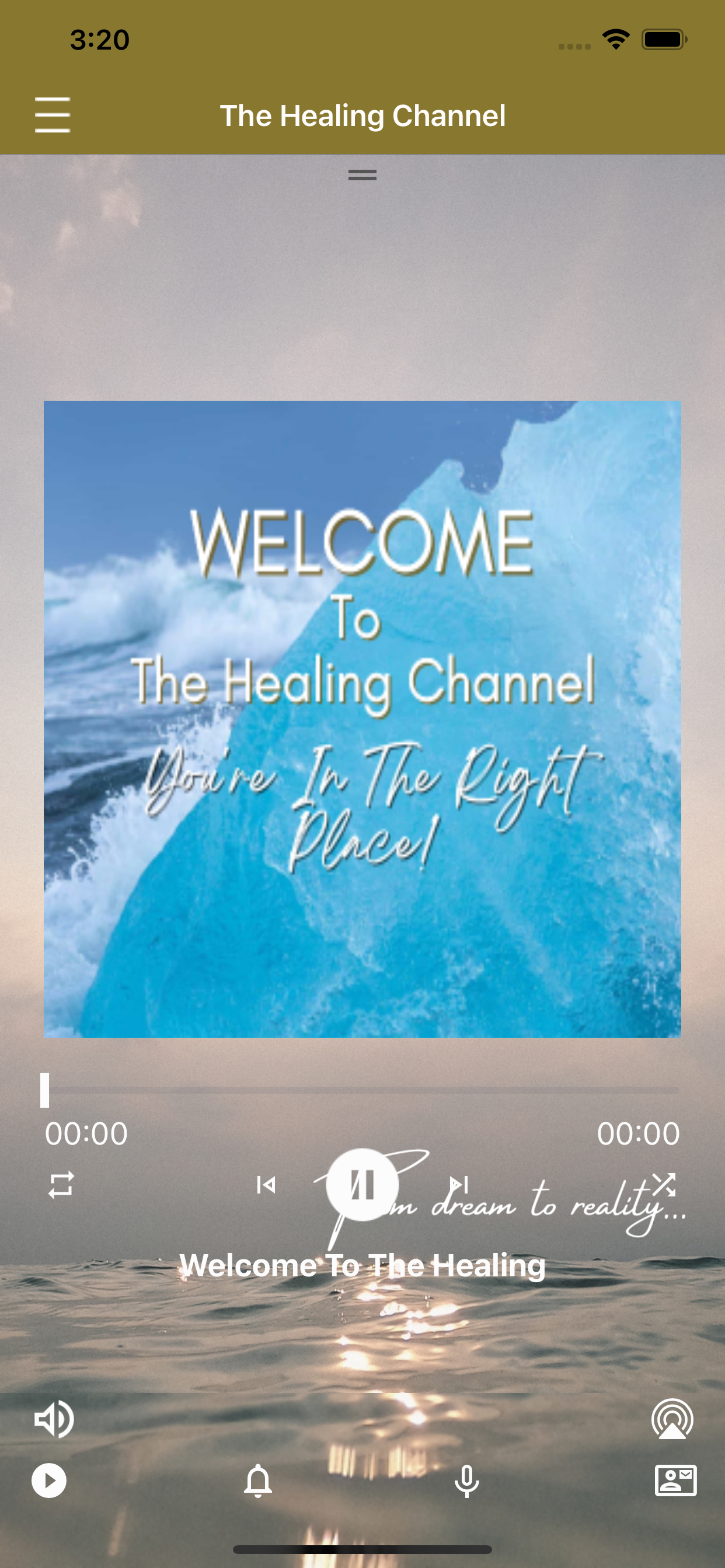 The Healing Channel
