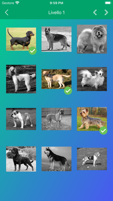 Razze di Cani: Foto-Quiz, Test