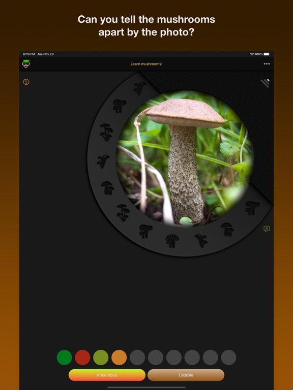 Screenshot #4 pour Learn Forest Mushrooms