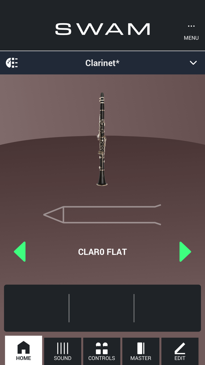 SWAM Clarinet