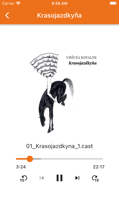 Knihy Audio Screenshot
