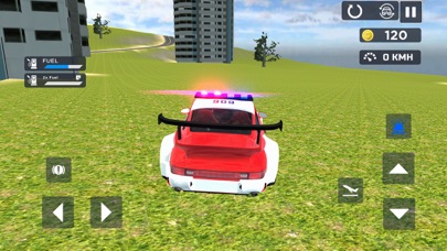 Flying Car Game: Police Games Screenshot
