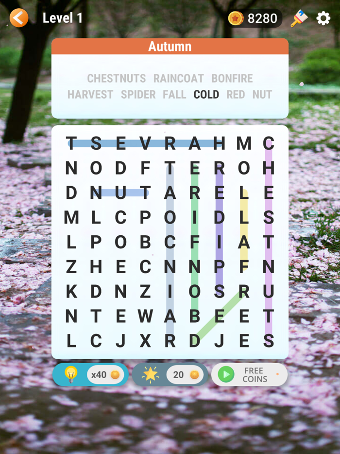 Word Search - Find Hidden Word